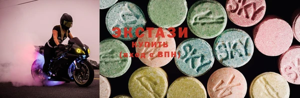 ECSTASY Богородицк